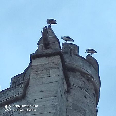 Apartament Logis Corneille I Narbona Zewnętrze zdjęcie